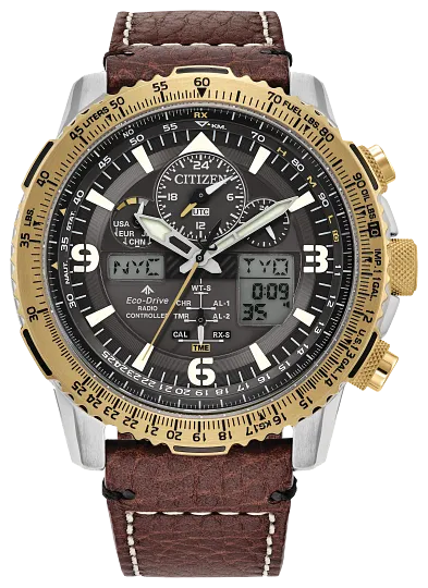 Citizen Eco-Drive Promaster Air