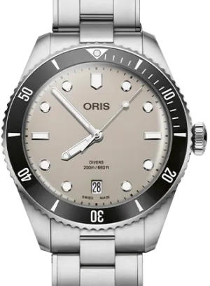 Divers Date Brown Ref. 01 733 7795 4051-Set